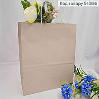 Пакет крафтовий, 22*27*11см, Сірий 543186