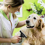 Щітка для шерсті домашніх тварин Purlov 24261 Польща, фото 3