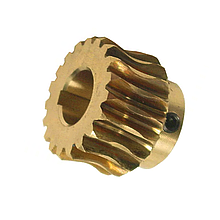 Шестерня бронза F2020 (19 зубців) для редуктора м'ясорубки FAMA mod.8, TS.8/TG.8