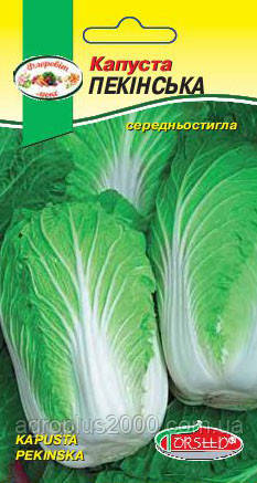 Насіння Капуста пекінська 1 грам Torseed
