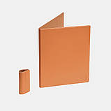 Оригінальний захисний чохол-обкладинка Onyx Boox для Go 10.3 Magnetic Case orange, фото 8