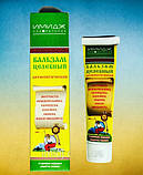 Бальзам Цілющий антисептичний. Офіційний представник "Імідж Лабораторія", фото 2