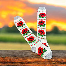 852 Гольфи шерстяні 36-40