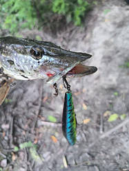 Липень - серпень 2024