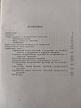 "Лекарські рослини в народній медицині" В.П. Махлаюк, фото 10