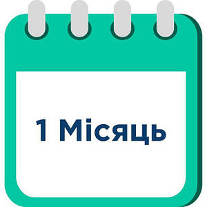 1 місяць