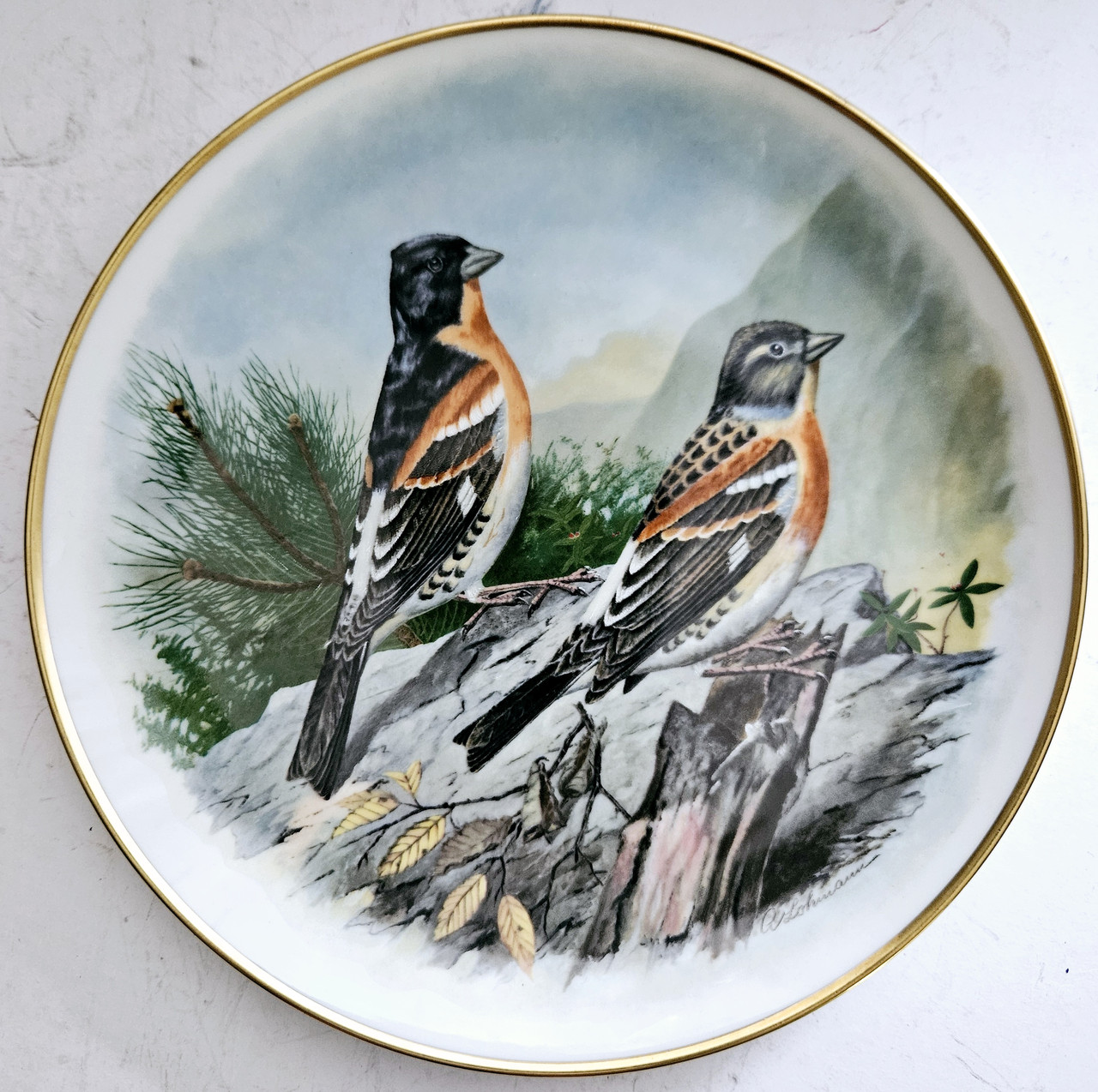 Порцелянова колекційна тарілка Співочі птахи ЄвропиKeiser, фото 1