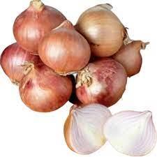 Цибуля саджанка Розанна (Ред Булл) 8-21 мм ТОР, ціна за 1 кг, 2024