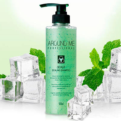 Шампунь-скраб для жирної шкіри голови Welcos Around Me Scalp Scaling 500 мл