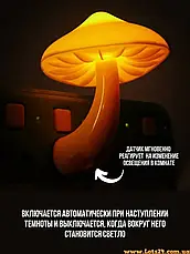 Нічник-світильник Гриб із датчиком світла в розетку, Автоматичний нічний світильник Гриб з led-підсвіткою, фото 4