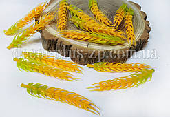 Колосок пшениці