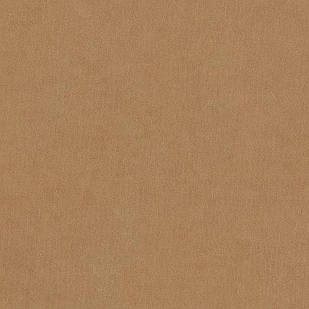 Меблева тканина Riviera 024, велюр