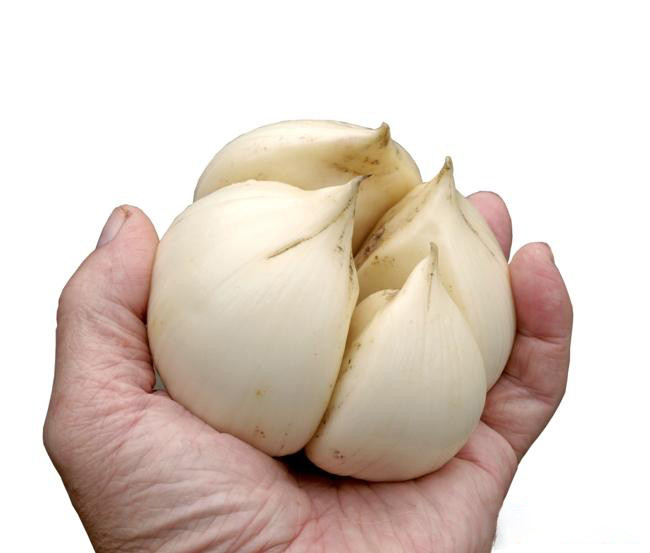 Рокамболь Кіпрський, 1 кг