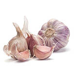 Часник озимий Харківський фіолетовий 1кг