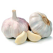 Часник озимий Дюшес 1кг