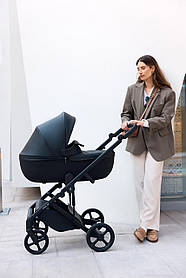 Універсальна коляска 2в1 Anex Eli, midnight