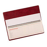 Планінг настільний 34,5 х 12,5см Leo Planner датований 2025 Persona бордовий 128 стор, фото 3