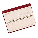 Планінг настільний 34,5 х 12,5см Leo Planner датований 2025 Persona бордовий 128 стор, фото 5