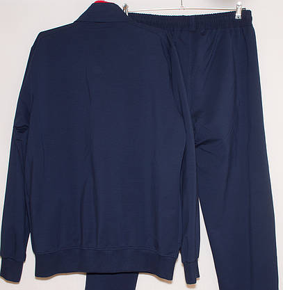 Спортивний костюм чоловічий батал Fore 3XL/1,4XL/2,5XL/3,6XL/4,7XL/5, фото 3