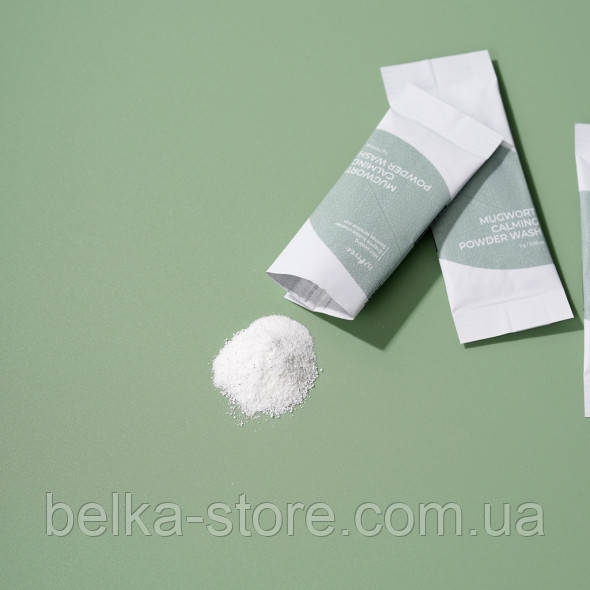 Ензимна пудра з полином для очищення Isntree Spot Saver Mugwort Powder Wash 1g, фото 1