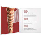 Струни D'Addario XSAPB1353 XS Phosphor Bronze Hybrid Light 13-53, фото 3