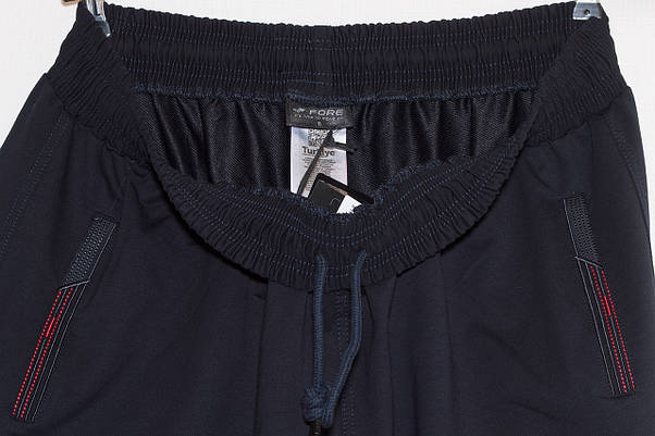 Спортивні штани Fore чоловічі 7XL,8XL,9XL,10XL, фото 4