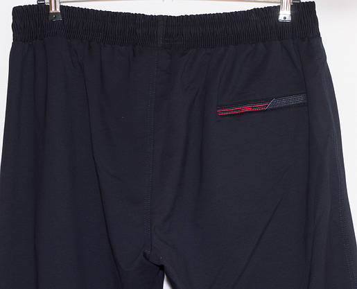 Спортивні штани Fore чоловічі 7XL,8XL,9XL,10XL, фото 2
