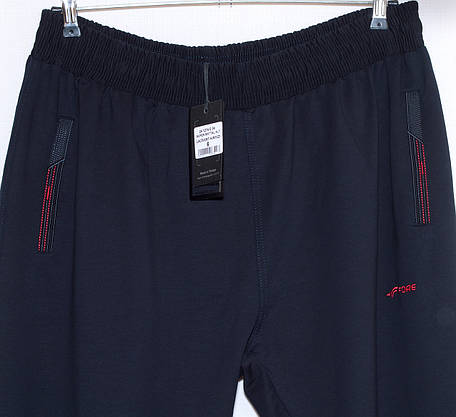 Спортивні штани Fore чоловічі 7XL,8XL,9XL,10XL, фото 5
