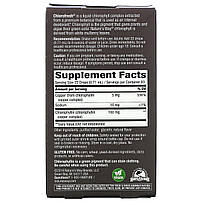 Chlorofresh, краплі з хлорофілом, з м'ятним смаком, Nature's Way, 2 ж. унц. (59 мл) BX159, фото 3