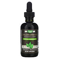 Chlorofresh, краплі з хлорофілом, з м'ятним смаком, Nature's Way, 2 ж. унц. (59 мл) BX159, фото 4