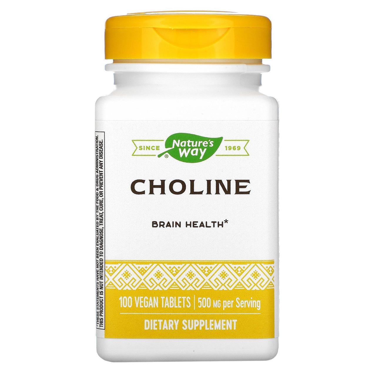 Холін Nature's Way (Choline) 500 мг 100 таблеток BX229, фото 1