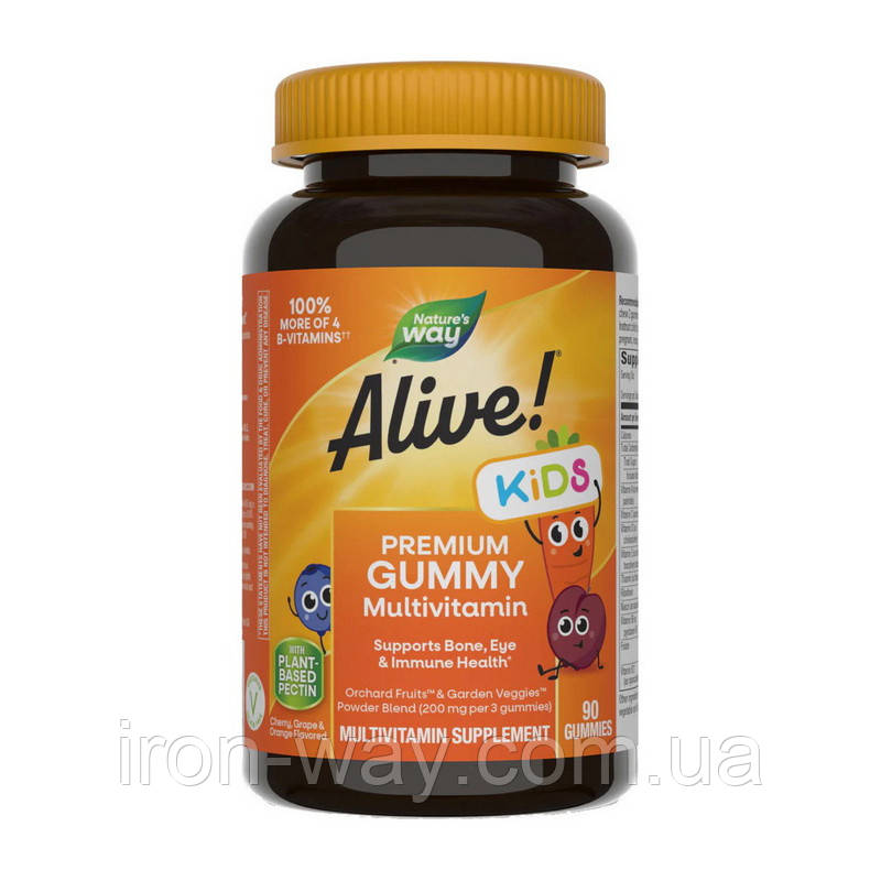 Nature's Way Alive! Kids Premium Gummy Multivitamin (90 gummies, Cherry, Orange & Grape)