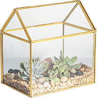 Скляний флораріум NCYP у формі будиночка з кришкою, золота рамка, 15.5×11×16 см, для сукулентів, мосаріум