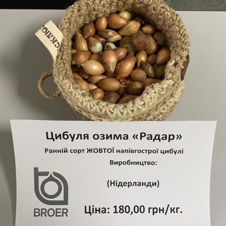 Радар (Radar) цибуля сіянка, розмір 10-21 мм, 1 кг