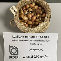 Радар (Radar) цибуля сіянка, 1 кг