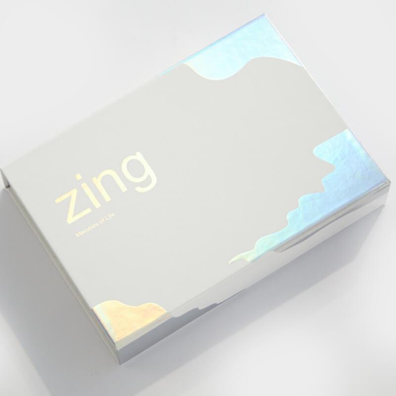 47412 Набір змінних кругових спиць ZING KnitPro