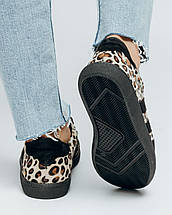 Кеди жіночі Tucino 3712821 36 чорні з леопардовими вставками шкіра, фото 5