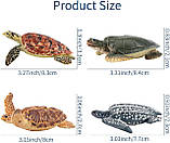 Розвиваючий набір фігурки Черепахи (6 шт) від Toymany, фото 4