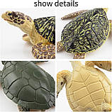 Розвиваючий набір фігурки Черепахи (6 шт) від Toymany, фото 3