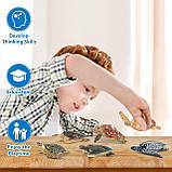 Розвиваючий набір фігурки Черепахи (6 шт) від Toymany, фото 6