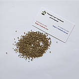 Петрушка листкова Гігантела насіння 3 г (прибл 1800 шт) скоростигла, фото 3