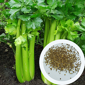 Селера Тріумф черешкова насіння 1 г (прибл 3200 шт) середньостигла