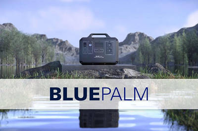 BLUEPALM