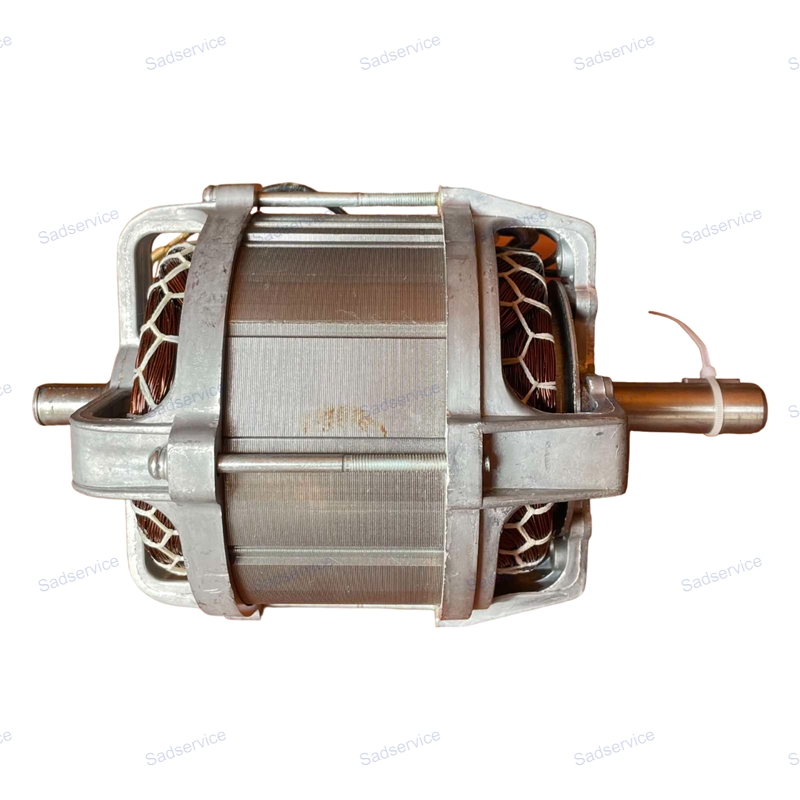 Електродвигун для AL-KO 4.6, 46.4 E, фото 1