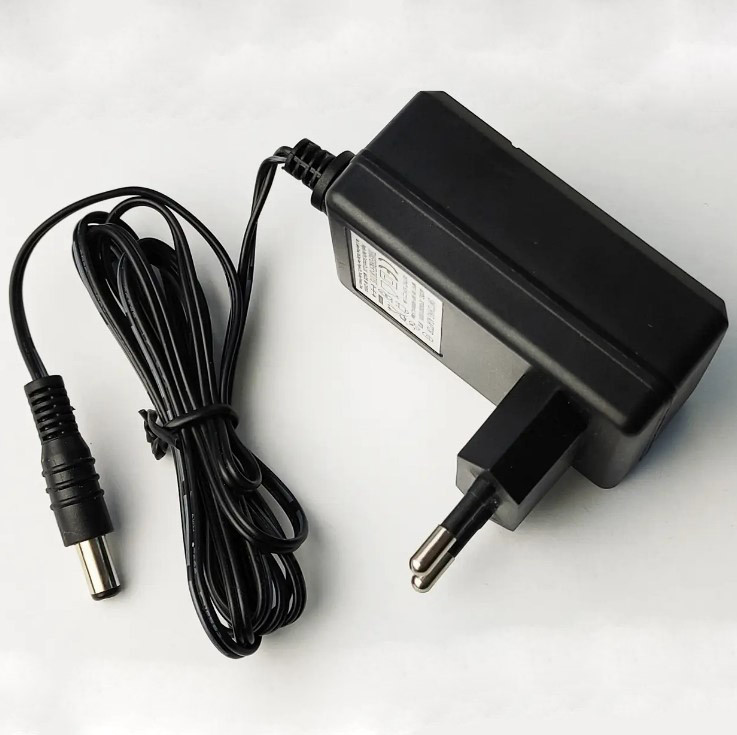 Зарядний пристрій для дитячого електромобіля Weelye 6V 1000mah
