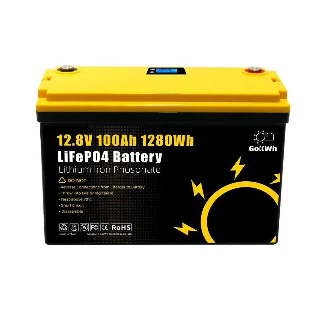 Акумуляторна батарея GoKwh LiFePO4 12 V 100 Ah, фото 1