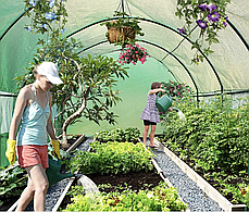Теплиця садова, парник Holla Garden Польща 2х3х2м 6м2, фото 3