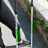 Палиці для скандинавської ходьби Gabel Nordic Revo Alu-Tech (7009351390000), фото 7