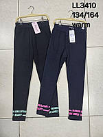 Лосини утеплені для дівчат оптом, Sincere, 134-164 см, № LL-3410, фото 7