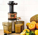 Соковитискач шнековий електрична сокодавка шнекова соковижималки для томатів віджимач яблук моркви зелені селдерею фруктів овочів, фото 8